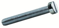 Slotted cylinder head screw Din84 Zinc plated & Stainless steel