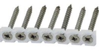 Spanplattenschrauben magaziniert (50pcs)
